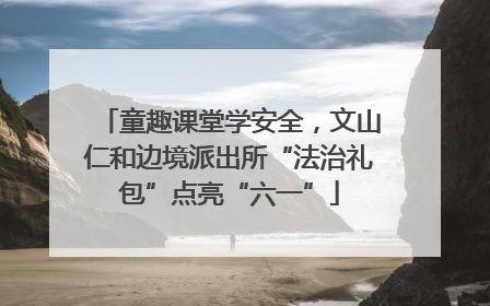 童趣课堂学安全，文山仁和边境派出所“法治礼包”点亮“六一”