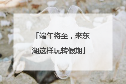 端午将至，来东湖这样玩转假期