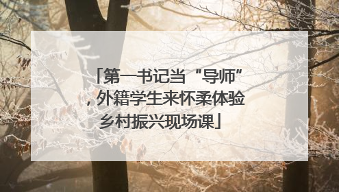 第一书记当“导师”，外籍学生来怀柔体验乡村振兴现场课