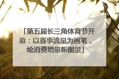 第五届长三角体育节开幕：以赛事流量为画笔，绘消费增量新图景