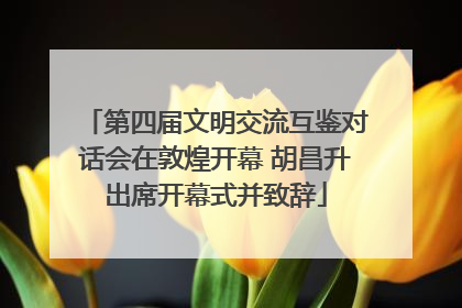 第四届文明交流互鉴对话会在敦煌开幕 胡昌升出席开幕式并致辞