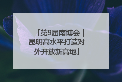 第9届南博会｜昆明高水平打造对外开放新高地