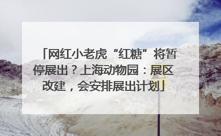 网红小老虎“红糖”将暂停展出？上海动物园：展区改建，会安排展出计划