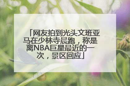网友拍到光头文班亚马在少林寺晨跑，称是离NBA巨星最近的一次，景区回应