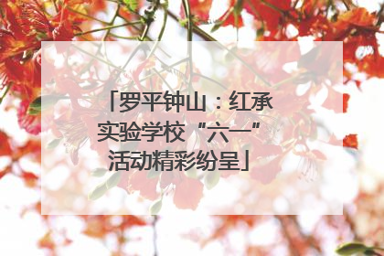 罗平钟山：红承实验学校“六一”活动精彩纷呈