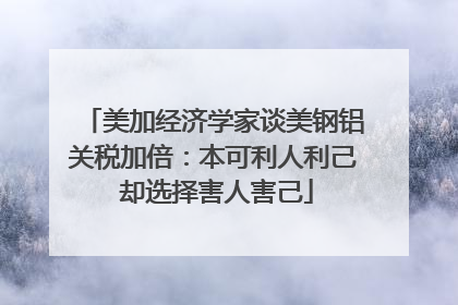 美加经济学家谈美钢铝关税加倍：本可利人利己 却选择害人害己
