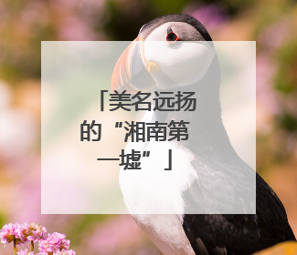 美名远扬的“湘南第一墟”
