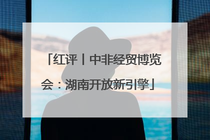 红评丨中非经贸博览会：湖南开放新引擎
