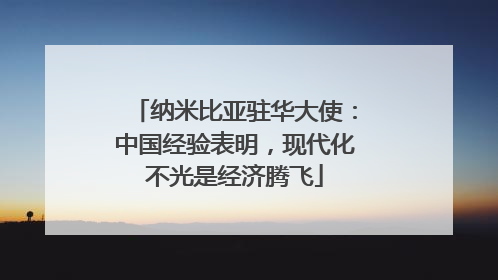 纳米比亚驻华大使：中国经验表明，现代化不光是经济腾飞
