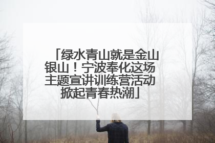 绿水青山就是金山银山！宁波奉化这场主题宣讲训练营活动掀起青春热潮