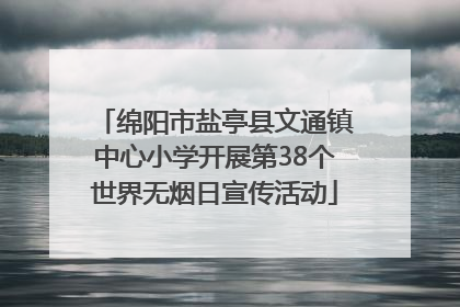 绵阳市盐亭县文通镇中心小学开展第38个世界无烟日宣传活动