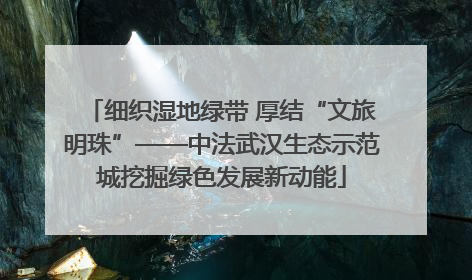 细织湿地绿带 厚结“文旅明珠”——中法武汉生态示范城挖掘绿色发展新动能