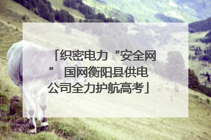 织密电力“安全网” 国网衡阳县供电公司全力护航高考