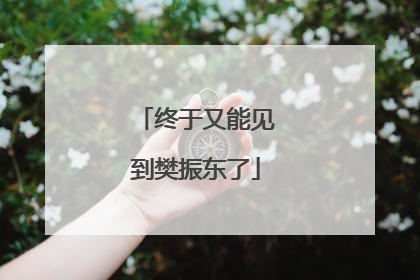 终于又能见到樊振东了