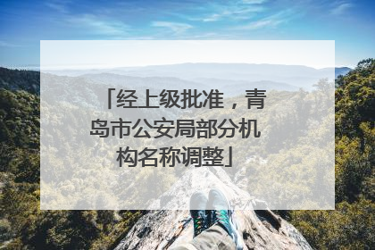 经上级批准，青岛市公安局部分机构名称调整