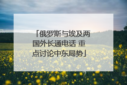 俄罗斯与埃及两国外长通电话 重点讨论中东局势