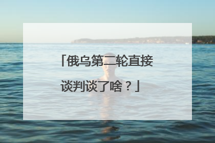 俄乌第二轮直接谈判谈了啥？