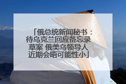 俄总统新闻秘书：待乌克兰回应备忘录草案 俄美乌领导人近期会晤可能性小