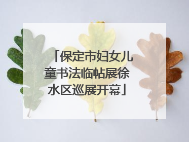 保定市妇女儿童书法临帖展徐水区巡展开幕