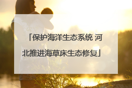 保护海洋生态系统 河北推进海草床生态修复