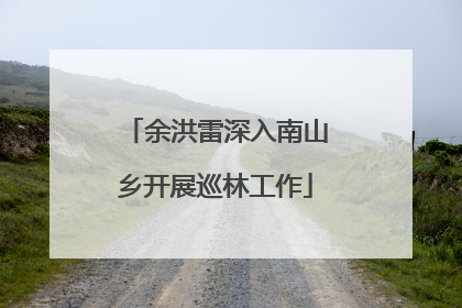 余洪雷深入南山乡开展巡林工作