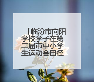 临汾市向阳学校学子在第二届市中小学生运动会田径赛中喜获佳绩