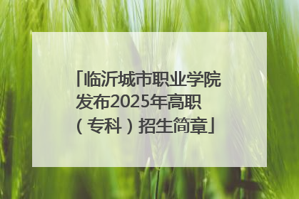 临沂城市职业学院发布2025年高职（专科）招生简章