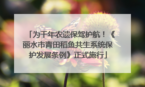 为千年农遗保驾护航！《丽水市青田稻鱼共生系统保护发展条例》正式施行