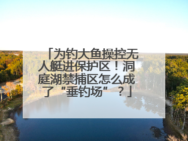 为钓大鱼操控无人艇进保护区！洞庭湖禁捕区怎么成了“垂钓场”？