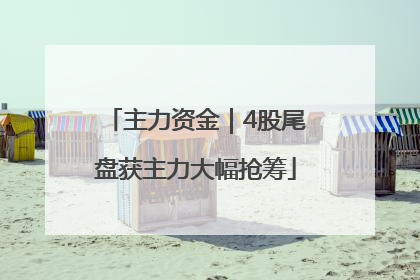 主力资金｜4股尾盘获主力大幅抢筹