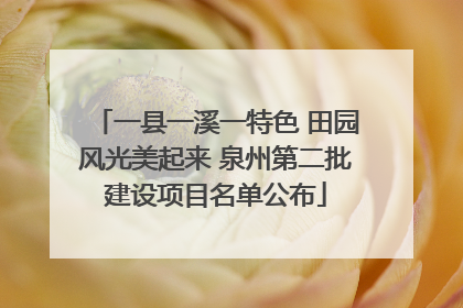 一县一溪一特色 田园风光美起来 泉州第二批建设项目名单公布