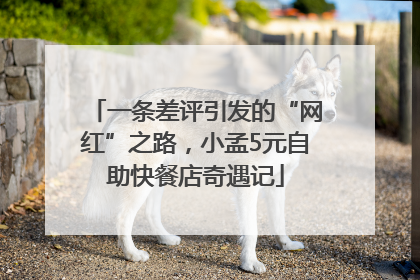 一条差评引发的“网红”之路，小孟5元自助快餐店奇遇记
