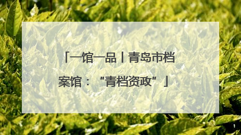 一馆一品丨青岛市档案馆：“青档资政”
