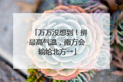 万万没想到！拼最高气温，南方会输给北方→