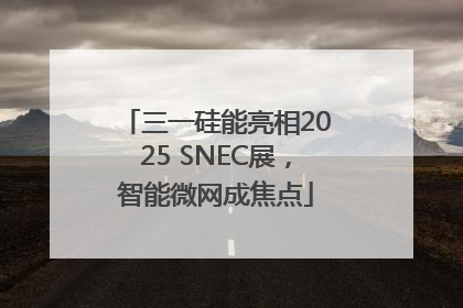 三一硅能亮相2025 SNEC展，智能微网成焦点