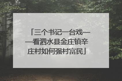 三个书记一台戏——看泗水县金庄镇辛庄村如何强村富民