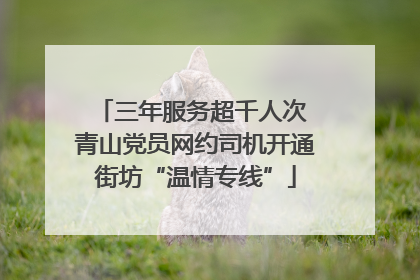 三年服务超千人次 青山党员网约司机开通街坊“温情专线”