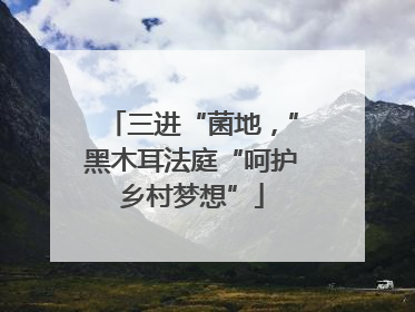 三进“菌地，”黑木耳法庭“呵护乡村梦想”