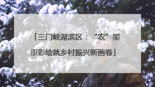 三门峡湖滨区：“农”墨重彩绘就乡村振兴新画卷