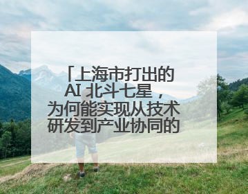 上海市打出的 AI 北斗七星，为何能实现从技术研发到产业协同的闭环生态
