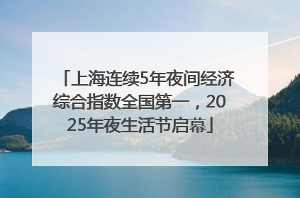上海连续5年夜间经济综合指数全国第一，2025年夜生活节启幕