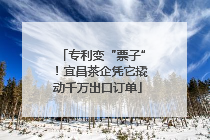 专利变“票子”！宜昌茶企凭它撬动千万出口订单
