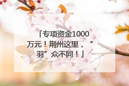 专项资金1000万元！荆州这里，“羽”众不同！