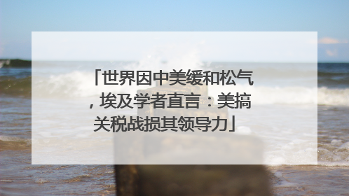 世界因中美缓和松气，埃及学者直言：美搞关税战损其领导力