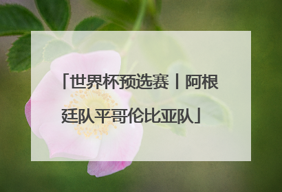 世界杯预选赛丨阿根廷队平哥伦比亚队