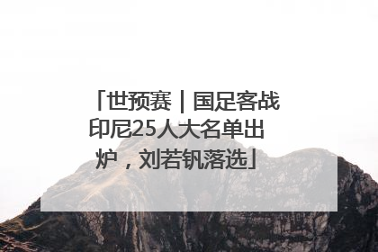 世预赛｜国足客战印尼25人大名单出炉，刘若钒落选