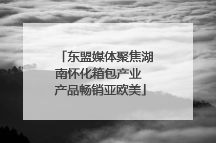 东盟媒体聚焦湖南怀化箱包产业 产品畅销亚欧美