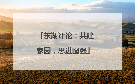 东湖评论：共建家园，思进图强
