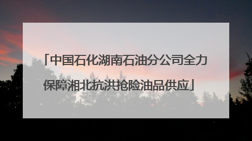 中国石化湖南石油分公司全力保障湘北抗洪抢险油品供应