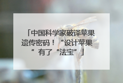 中国科学家破译苹果遗传密码！“设计苹果”有了“法宝”